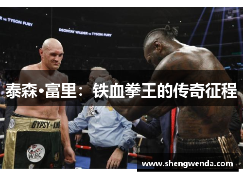 泰森·富里：铁血拳王的传奇征程